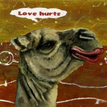verliebtes Kamel